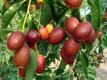 点击查看原图 图片1.jpg