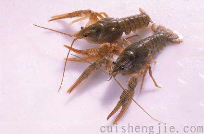 点击查看原图 小龙虾.jpg