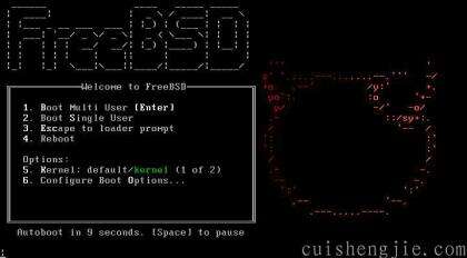 freebsd安装详解