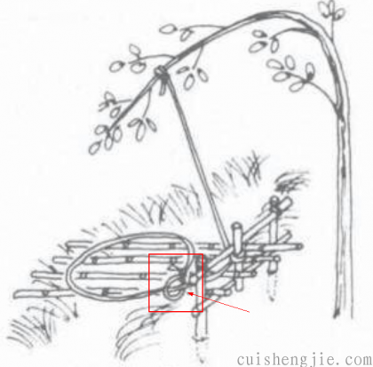 点击查看原图 04.png