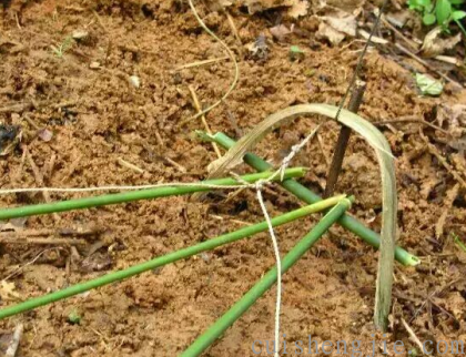 点击查看原图 03.png