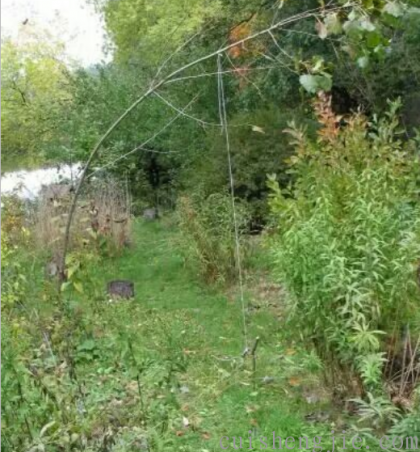 点击查看原图 02.png