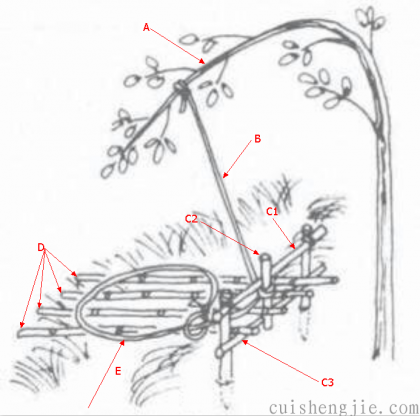 点击查看原图 01.png
