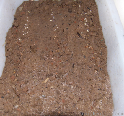 点击查看原图 4.png