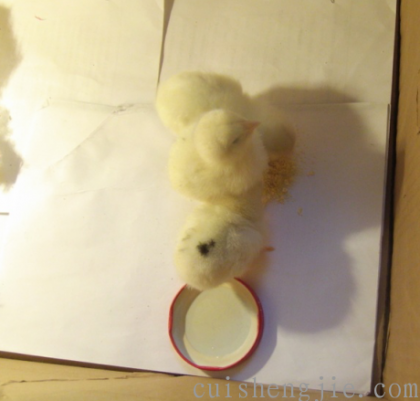 点击查看原图 11.png