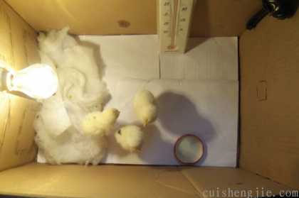 点击查看原图 06.png