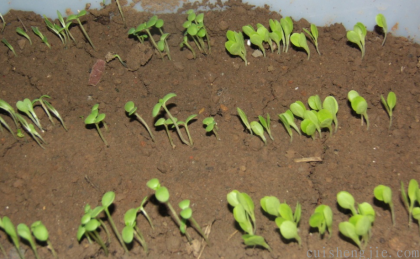 点击查看原图 8.png