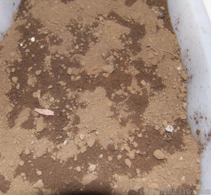 点击查看原图 5.png