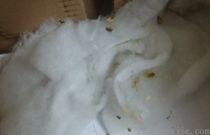 点击查看原图 03.png