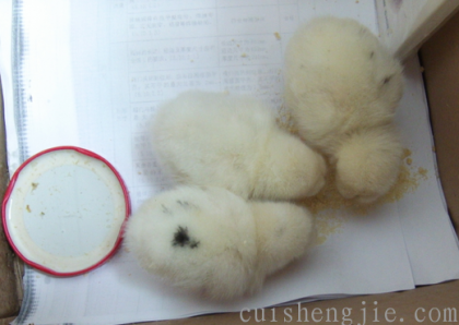 点击查看原图 12.png