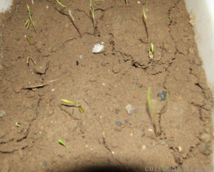 点击查看原图 7.png