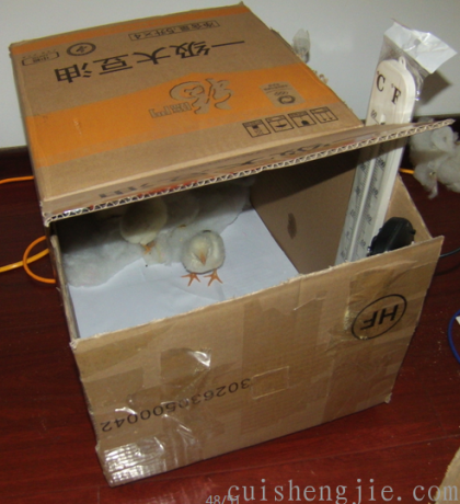 点击查看原图 07.png